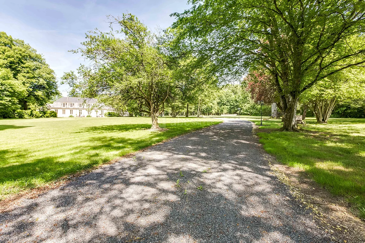 Les Patineaux - Accueil