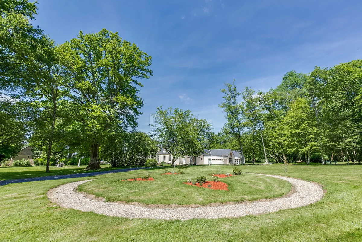 Les Patineaux - Accueil