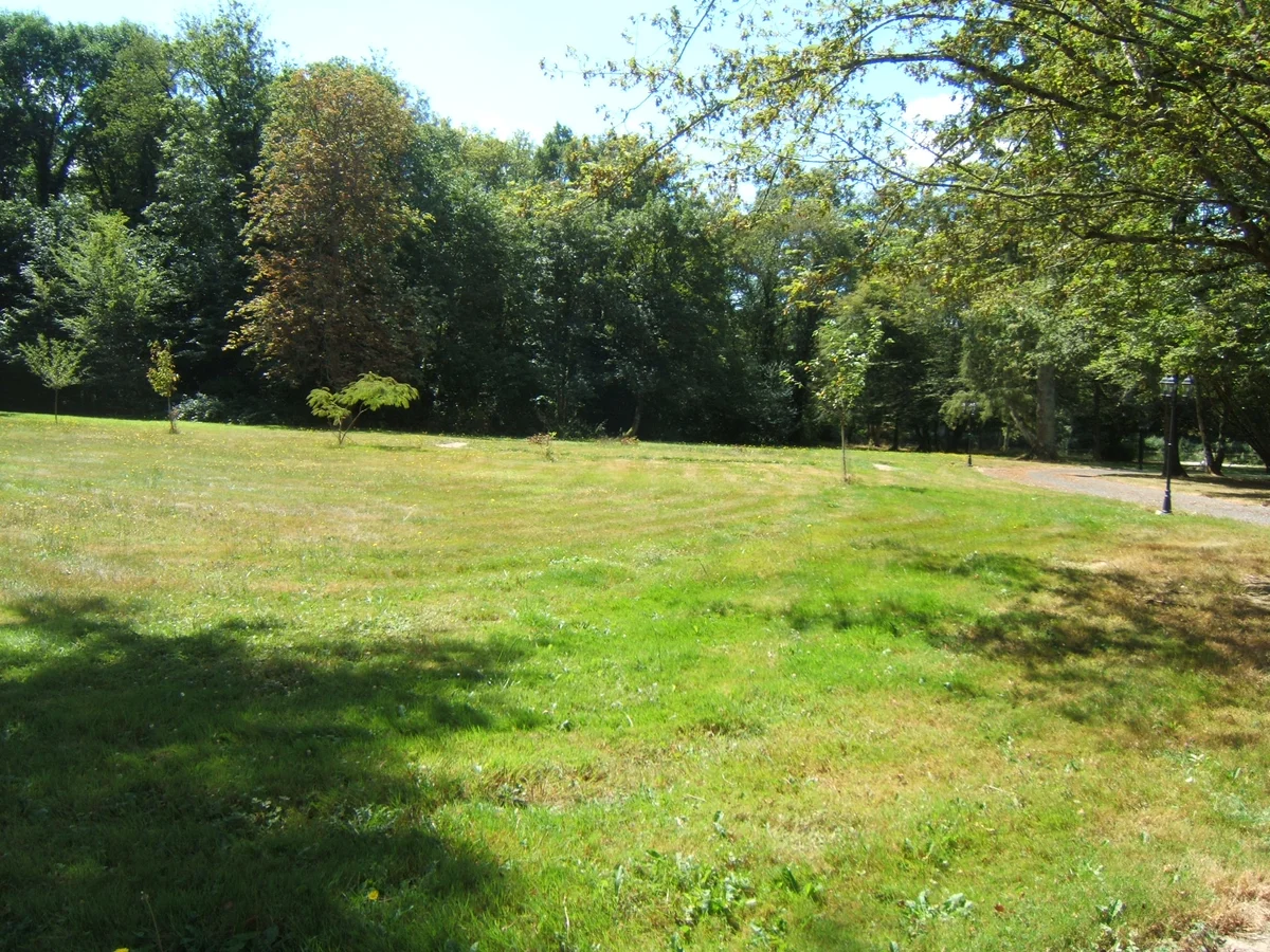 Les Patineaux - Accueil