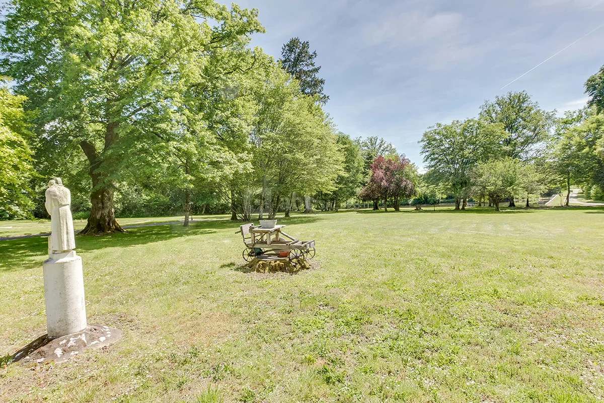 Les Patineaux - Accueil